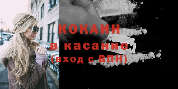 стаф Арсеньев