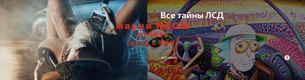 каннабис Аркадак
