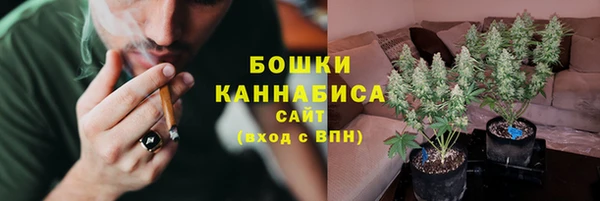 стаф Арсеньев