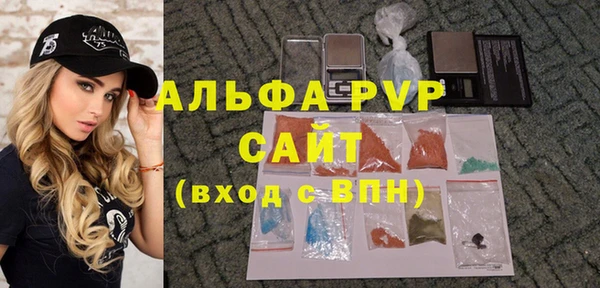стаф Арсеньев