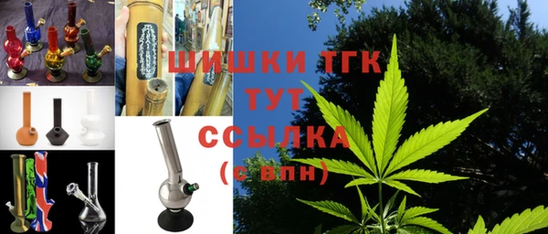 стаф Арсеньев