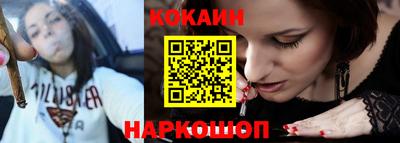 крисы Кулебаки