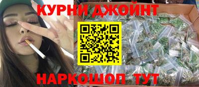 крисы Кулебаки