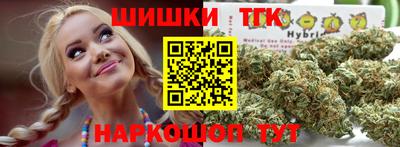 крисы Кулебаки