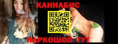крисы Кулебаки