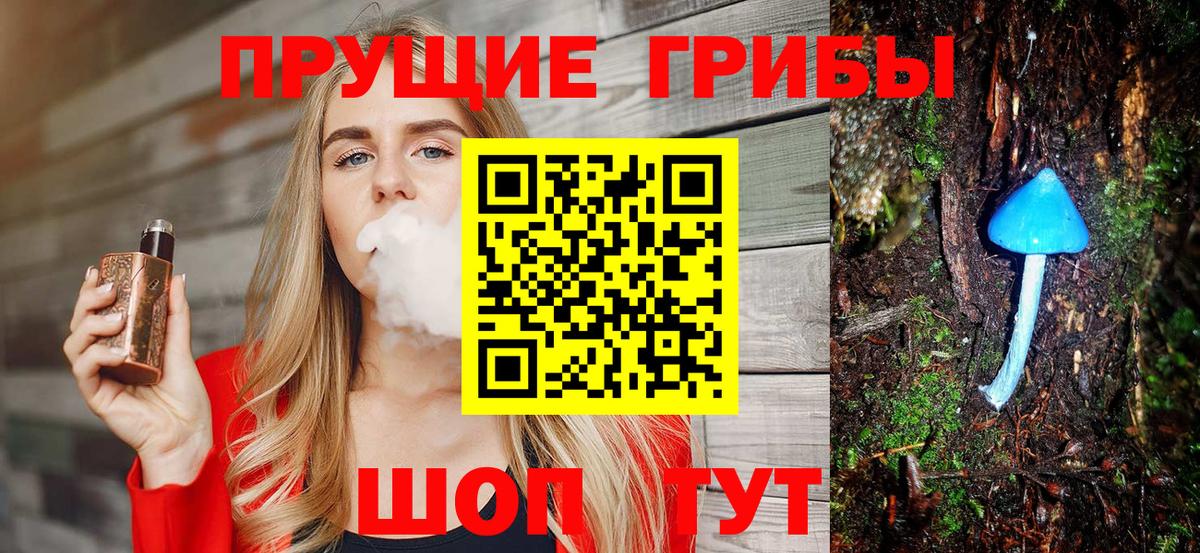 купить наркоту  Галлюциногенные грибы прущие грибы  Вход с VPN  Долгопрудный  Псилоцибиновые грибы мицелий 